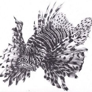 Meet your Posher, Edward